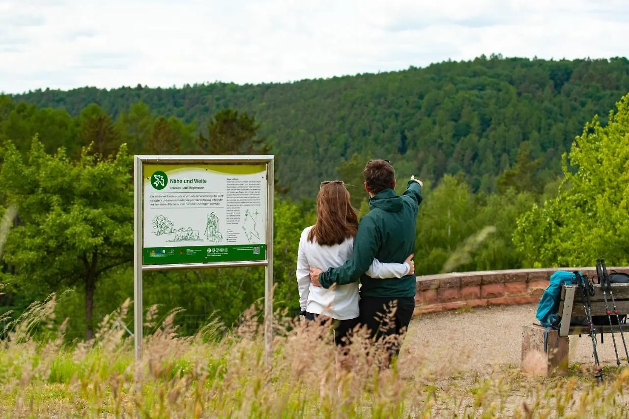 Hotel Landgasthof Oberschnorrhof Dammbach