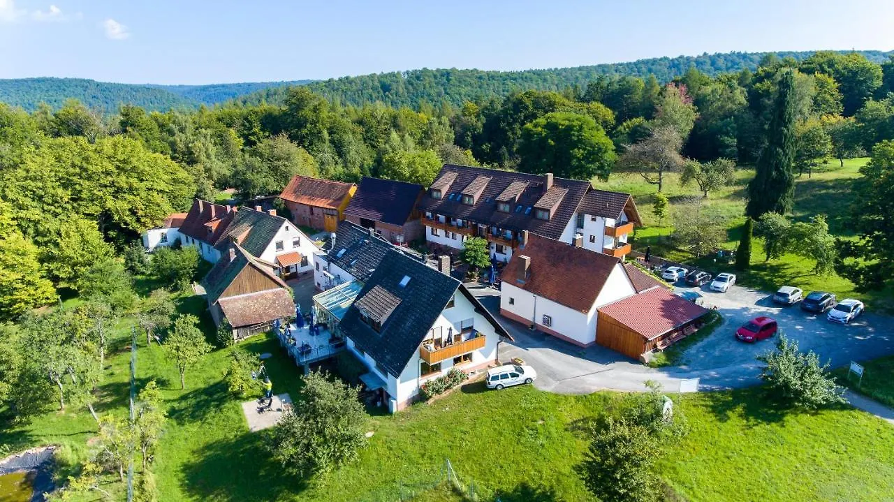 Dammbach Hotel Landgasthof Oberschnorrhof