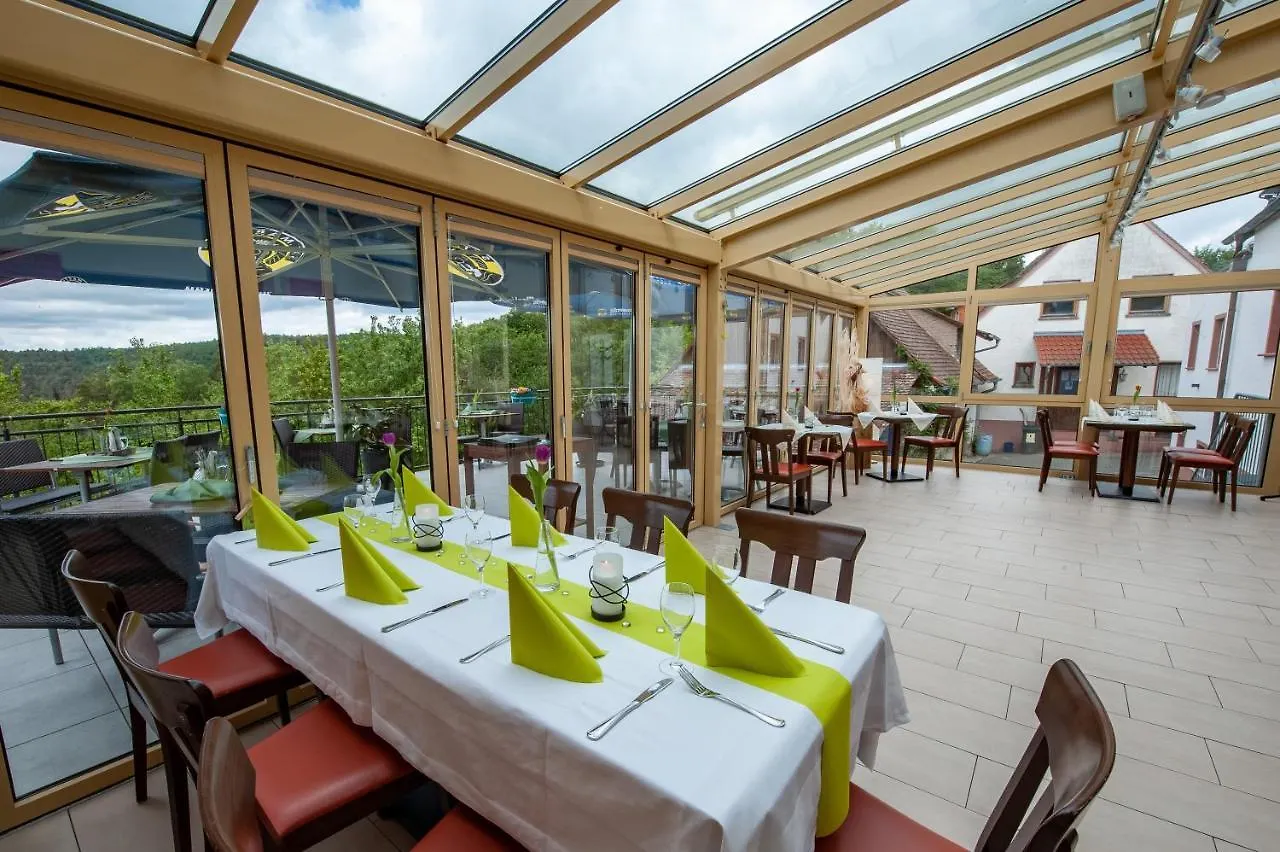 Dammbach Hotel Landgasthof Oberschnorrhof 3*,