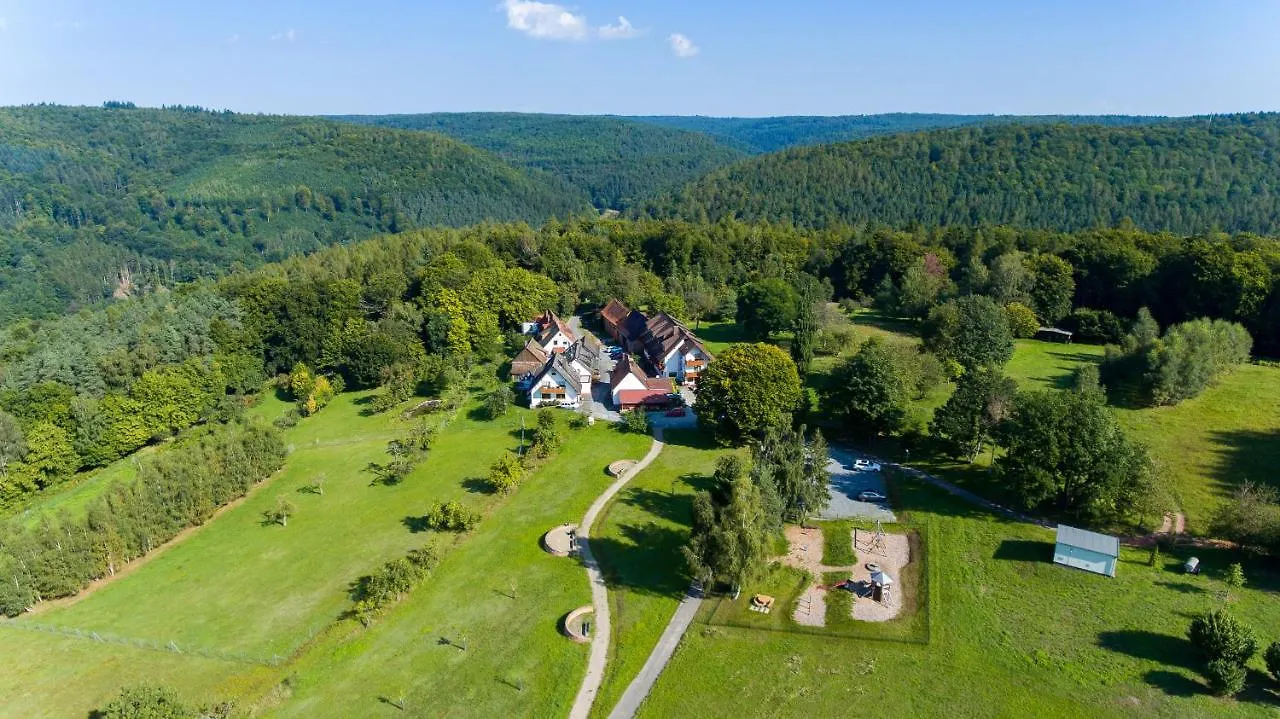 Dammbach Hotel Landgasthof Oberschnorrhof 3*,  גרמניה